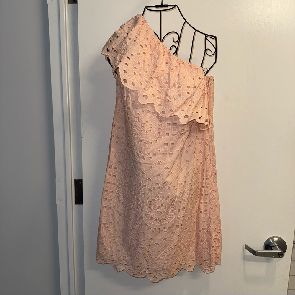 Loft One-Shoulder Pink Eyelet Dress